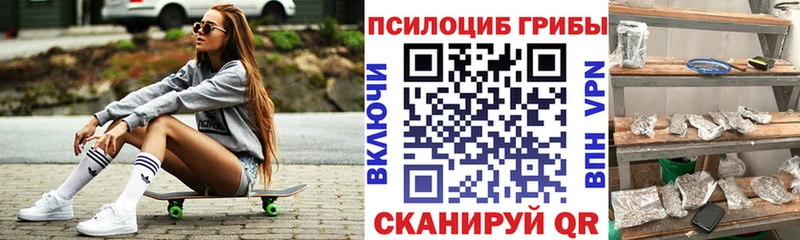 наркотики кракен ссылки Псилоцибиновые грибы Psilocybine cubensis Миньяр